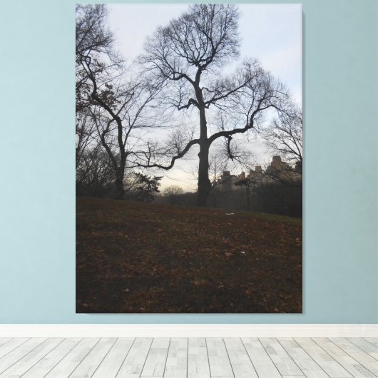 Toile Central Park, New York City, USA (Insitu (Plancher de Bois))