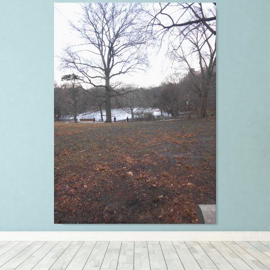 Toile Central Park, New York City, USA (Insitu (Plancher de Bois))