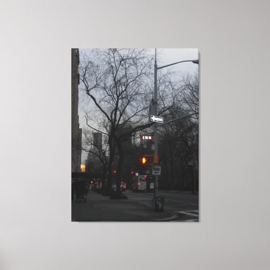 Toile Central Park, New York City, USA (Recto)