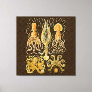 Toile Cephalopod poulpe calmar Nature marine