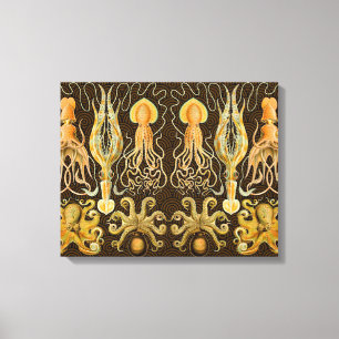 Toile Cephalopod poulpe calmar Nature marine