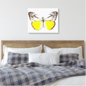 Toile Cepora aspasia (Insitu(Chambre))