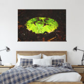 Toile Ceratophrys Cornuta (Insitu(Chambre))