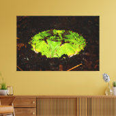 Toile Ceratophrys Cornuta (Insitu(Salon))