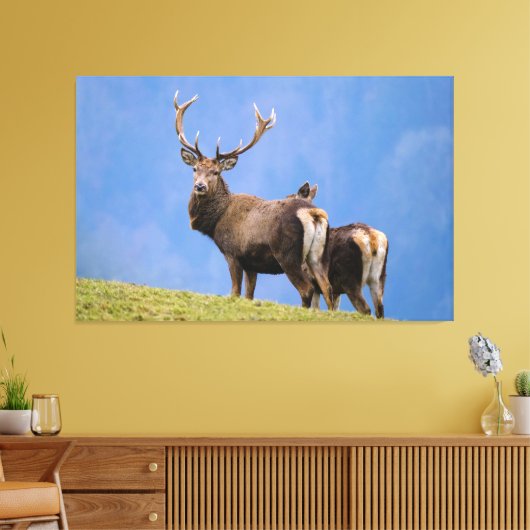 Toile Cerf (Insitu(Salon))