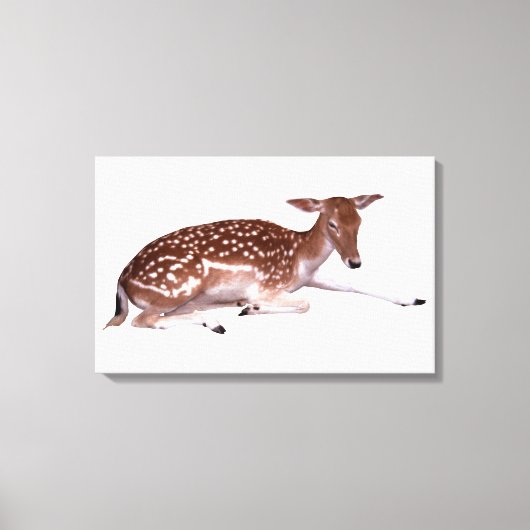 Toile cerf 2 (Recto)