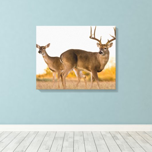 Toile Cerf à queue blanche | Automne au Texas (Insitu (Plancher de Bois))