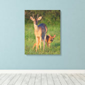 Toile Cerf à queue blanche | Habitat Grassy (Insitu (Plancher de Bois))