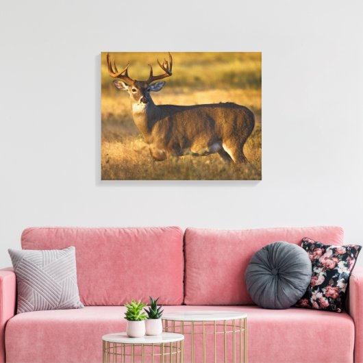 Toile Cerf à queue blanche | Sud du Texas (Insitu(Salon))