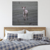 Toile Cerf blanc (Insitu(Chambre))