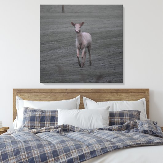 Toile Cerf blanc (Insitu(Chambre))