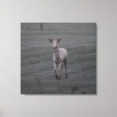 Toile Cerf blanc (Recto)