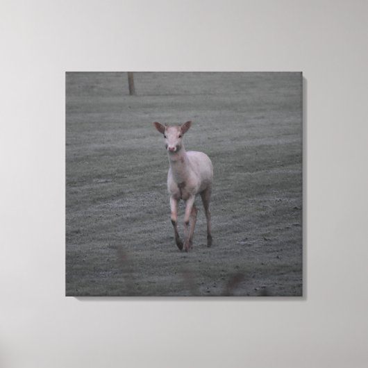 Toile Cerf blanc (Recto)