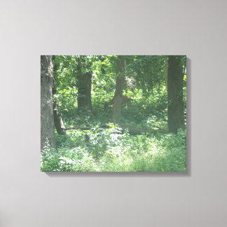 Toile Cerf blanc