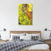 Toile Cerf blanc fauché à Whitefish, Montana, USA (Insitu(Chambre))