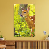 Toile Cerf blanc fauché à Whitefish, Montana, USA (Insitu(Salon))