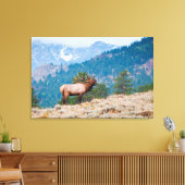 Toile Cerf (Cervus Elephus) mâle bramant (Insitu(Salon))