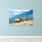 Toile Cerf (Cervus Elephus) mâle bramant (Insitu (Plancher de Bois))