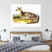 Toile Cerf d'Amérique (à queue blanche), fawn, Audubon (Insitu(Chambre))