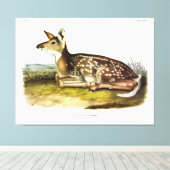 Toile Cerf d'Amérique (à queue blanche), fawn, Audubon (Insitu (Plancher de Bois))