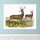 Toile Cerf de Virginie, Blacktail, par Audubon (Insitu (Plancher de Bois))