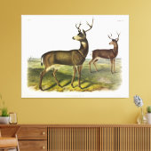Toile Cerf de Virginie, Blacktail, par Audubon (Insitu(Salon))