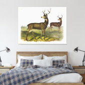 Toile Cerf de Virginie, Blacktail, par Audubon (Insitu(Chambre))