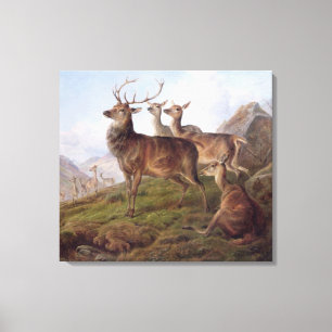 Toile Cerfs communs rouges dans un paysage des