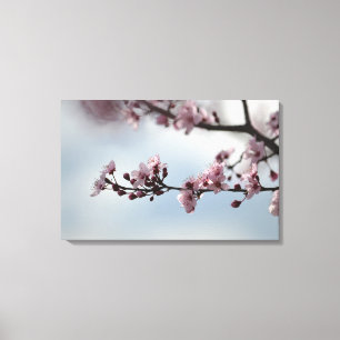 Toile Cerisiers en fleurs et ciel