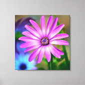 Toile C'est à propos de moi Daisy Gallery Canvas Art (Recto)