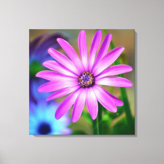 Toile C'est à propos de moi Daisy Gallery Canvas Art (Recto)