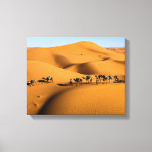 chameaux dans le désert sous ciel bleu