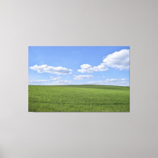 Toile Champ  (Recto)
