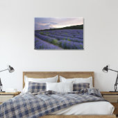 Toile Champ de lavande au coucher du soleil (Insitu(Chambre))