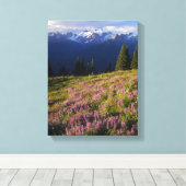 Toile Champ de lupine, Mt Olympus et nuages à (Insitu (Plancher de Bois))