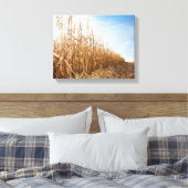 Toile Champ de maïs partiellement récolté (Insitu(Chambre))