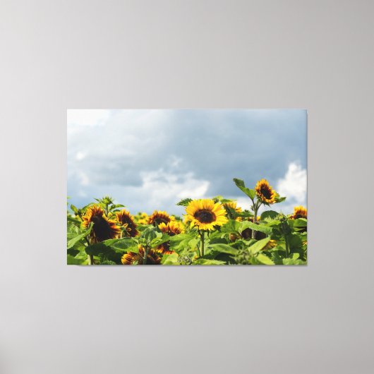 Toile Champ de Tournesols (Recto)