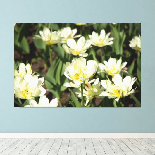 Toile Champ de tulipes blanches (Insitu (Plancher de Bois))