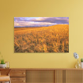 Toile Champ d'orge de mûrissement le long de la roche (Insitu(Salon))