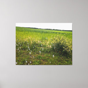 Toile Champ luxuriant avec fleurs sauvages