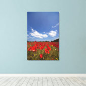 Toile Champ plein de fleurs rouges (Insitu (Plancher de Bois))