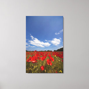 Toile Champ plein de fleurs rouges