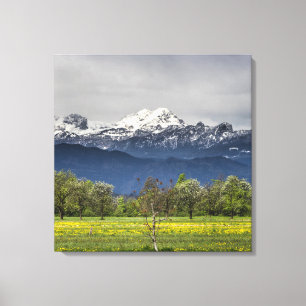 Toile Champ vert avec alpes neigeuses