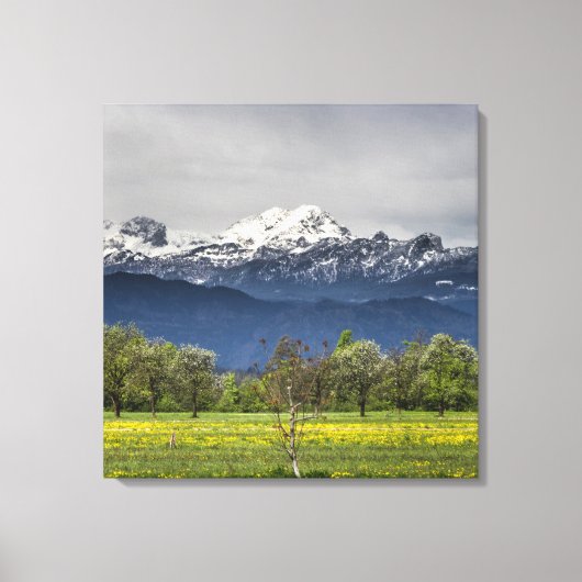 Toile Champ vert avec alpes neigeuses (Recto)