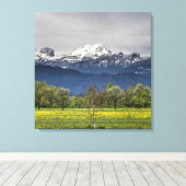 Toile Champ vert avec alpes neigeuses (Insitu (Plancher de Bois))