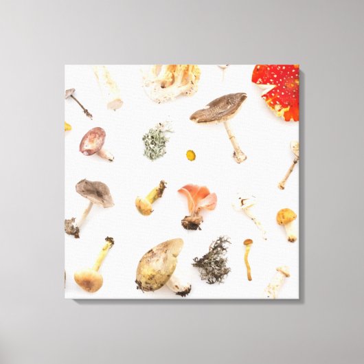 Toile Champignons (Recto)