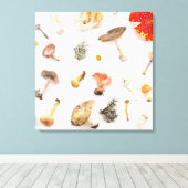 Toile Champignons (Insitu (Plancher de Bois))