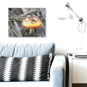 Toile Champignons colorés traversant la jupe