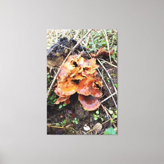 Toile Champignons dans la forêt (Recto)
