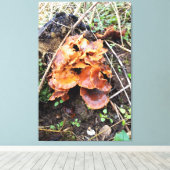 Toile Champignons dans la forêt (Insitu (Plancher de Bois))